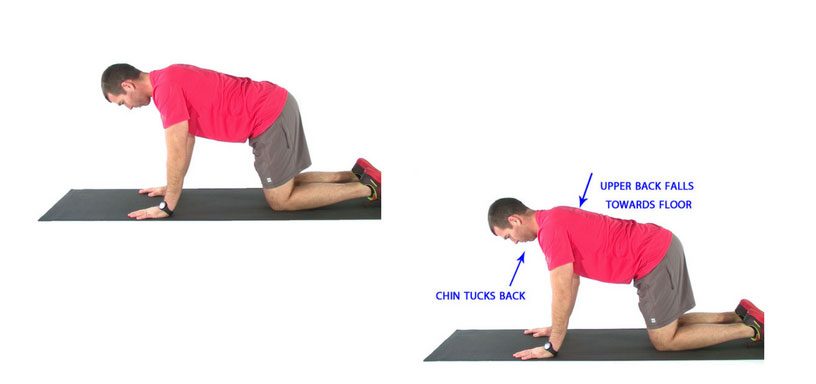 Neck-Stability-Exercises_Quadruped-with-Neck-Retraction-Extension